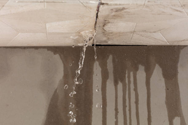 Professional Burst Pipe Cleanup technician working in Savannah, TX